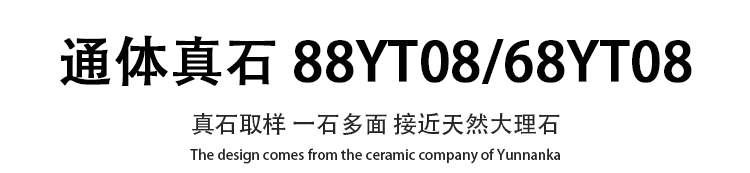 88YT08 68YT08文字.png