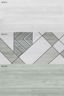 36Y01