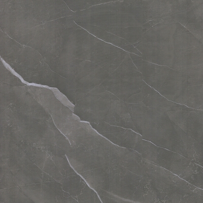 编号： 66CJD009 通体精雕大理石600X600mm